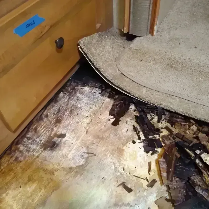 Wood Floor Water Damage in Springfield, VA